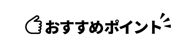 おすすめポイント